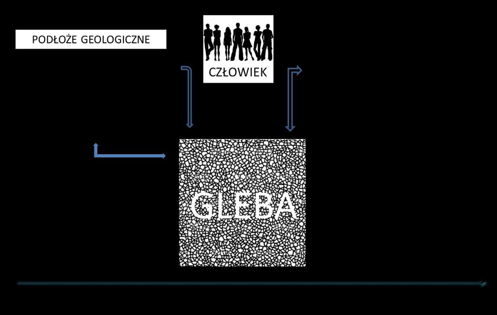 Ryc. 4.5.1. Gleba jako utwór powstały w wyniku oddziaływań elementów abiotycznych i biotycznych (Skiba 2002 zmienione).