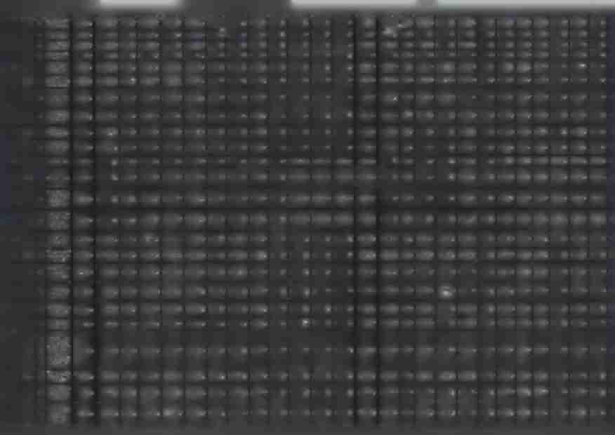 2300,0( 2 300,(X 0,0 2 300,OC 0,0C 2 300,OC -0G 0,0 o,oc o.oc o,oc o.oc 1666,8! O.OC 166685 0,0C 1666,8! O.OC o.oc O.OC 0,0 0,0 o.oc 0,0 w 4260 Zakup energii 1OOO.OC 1 OOO.OC 0,0C 1 OOO.OC O.