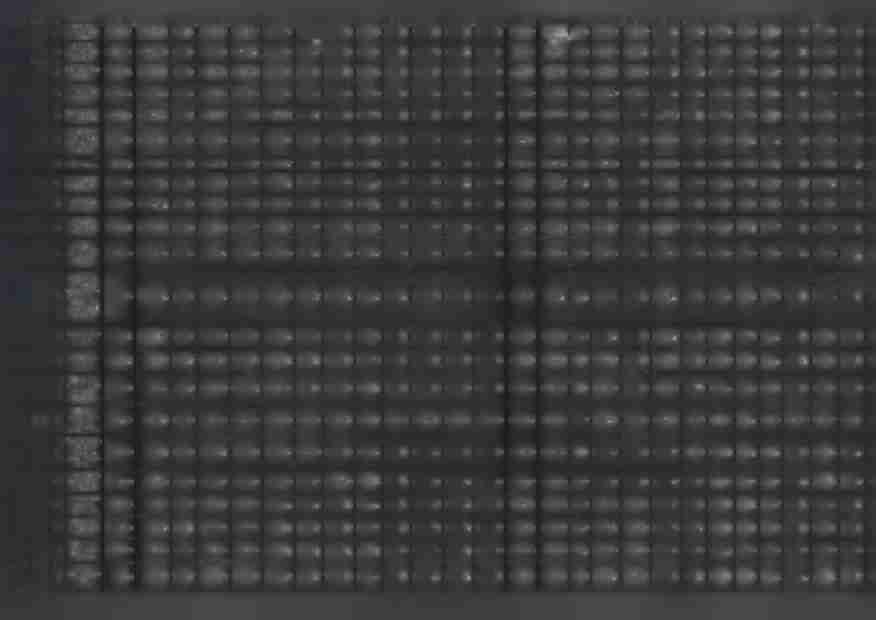 Dodatkowe 4040 wynagrodzenie roczne 108 454,(X 108 454,Ot 0,00 108 454,00 108 454,00 0,00 o.ot o,oc o.ot o.oc 0,00 o.oc 108 453,5ł 1 ^ ^ 0,00 108 453,5!
