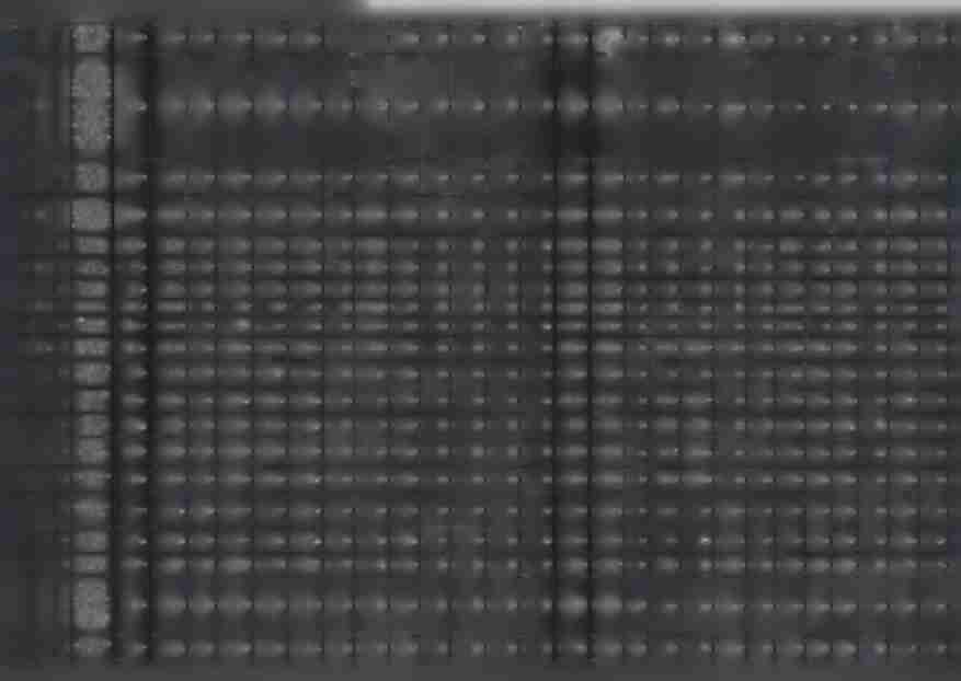 4440 Odpisy na zakładowy fundusz Świadczeń socjalnych 594,(X 594,0C 0,CX 594,0C 0,00 594,0C o.oc 0.00 0.00 0.00 o.oc 593,9; o o.oc 593.93 0,00 593.93 o. a o.