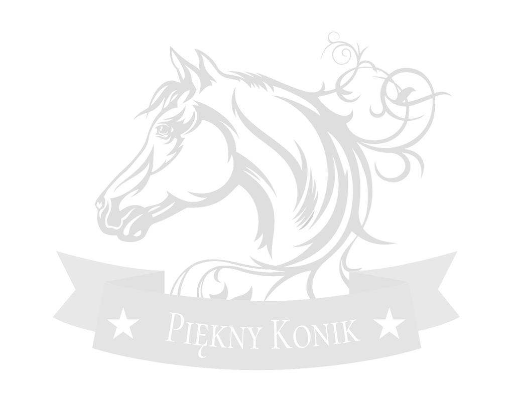 Cennik pasz St.