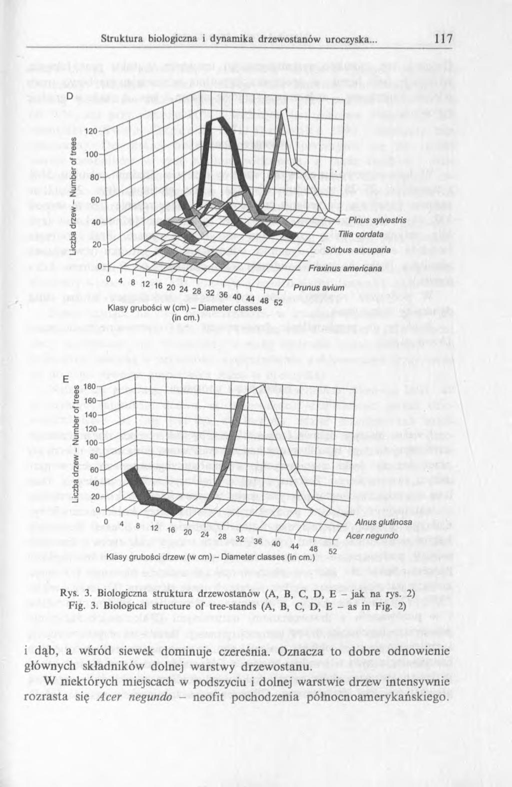 (in cm.) Rys. 3. Biologiczna struktura drzewostanów (A, B, C, D, E - jak na rys. 2) Fig. 3. Biological structure of tree-stands (A, B, C, D, E - as in Fig. 2) i dąb, a wśród siewek dominuje czereśnia.