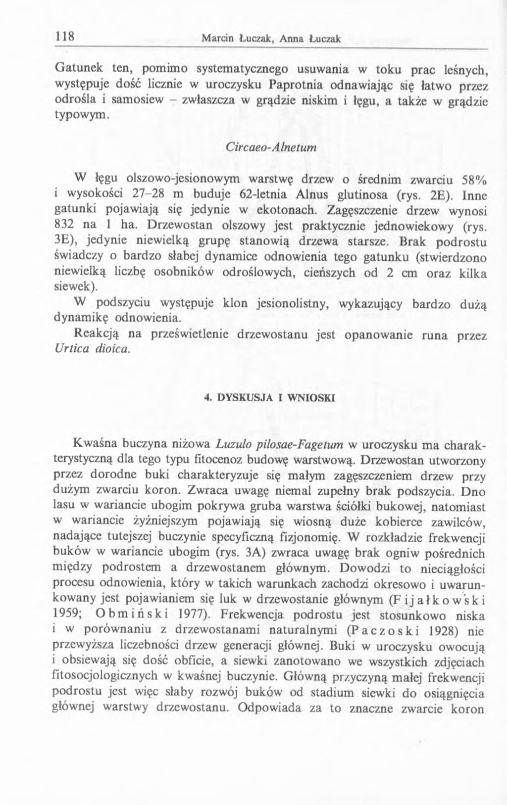 Gatunek ten, pomimo systematycznego usuwania w toku prac leśnych, występuje dość licznie w uroczysku Paprotnia odnawiając się łatwo przez odroślą i samosiew - zwłaszcza w grądzie niskim i łęgu, a