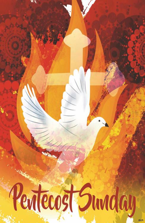 PHONE NUMBER (847) 827-9220 PARISH E-MAIL: stthomasbecket@stbmp.org PARISH STAFF Pastor: Rev. Chris Kulig ckulig@stbmp.org Pastor Emeritus: Rev.