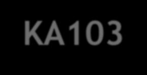 Kraje programu (Programme