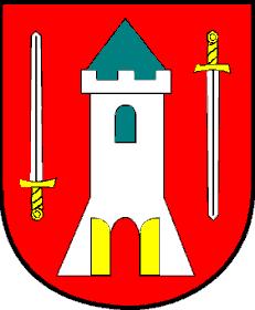 Raport (1) z konsultacji społecznych nad projektem "Lokalnego Programu