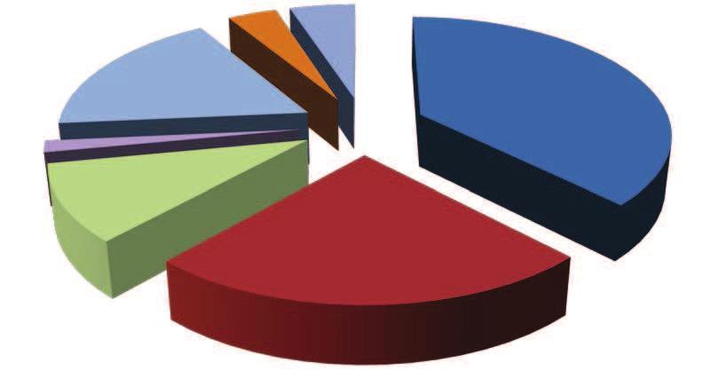 18% 1% 4% 5% 38% 10% 24% 1% 4% 15% zdecydowanie tak 48% tak