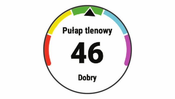 Żółty Fioletowy Niebieski Zielony Czerwony Doskonała Świetna Dobry Niezła Słaba Dane dotyczące pułapu tlenowego zostały dostarczone przez firmę FirstBeat.