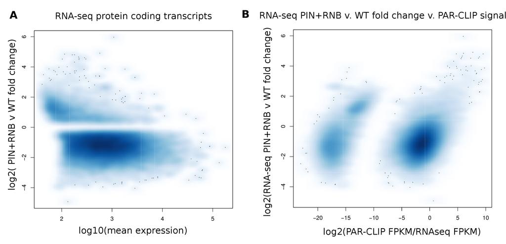 Global deregulation of protein coding genes in