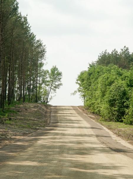 V. GOSPODARKA KOMUNALNA, OCHRONA ŚRODOWISKA I ROLNICTWO 1. Rolnictwo Obszar ten obejmuje zadania związane z melioracją wodną m.in.