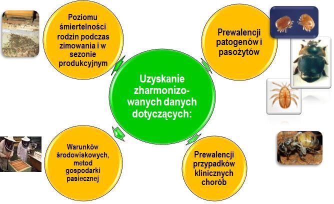 W celu uzyskania pełniejszych