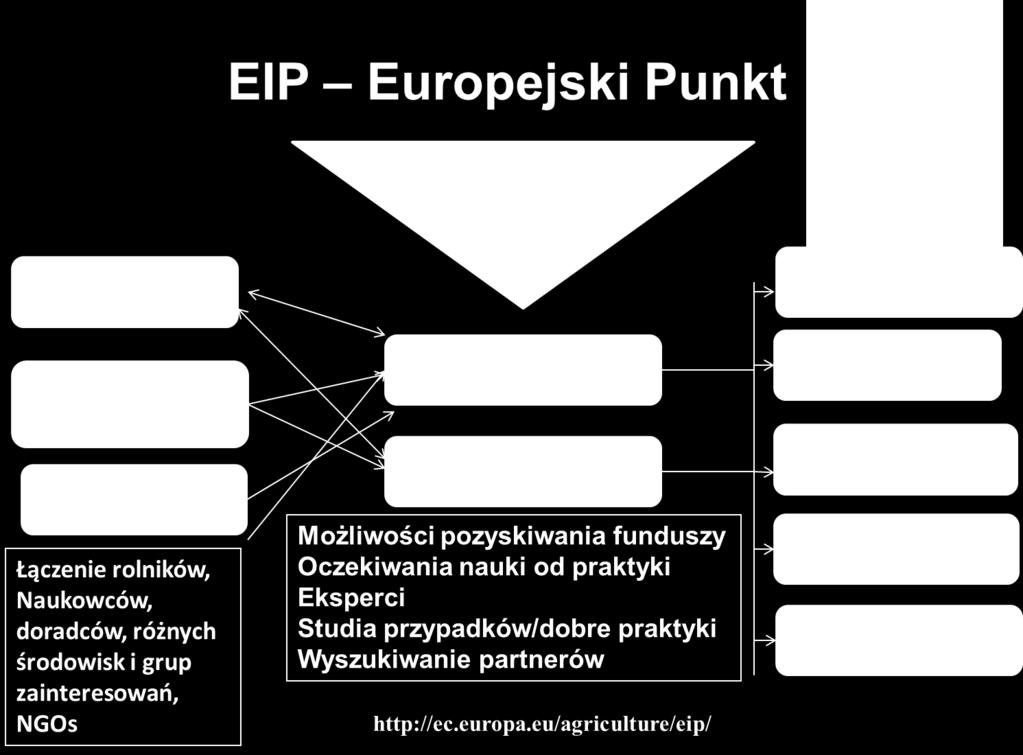 Budowanie współpracy między podmiotami naukowymi i technologicznymi a rolnikami, przedsiębiorcami i doradcami.