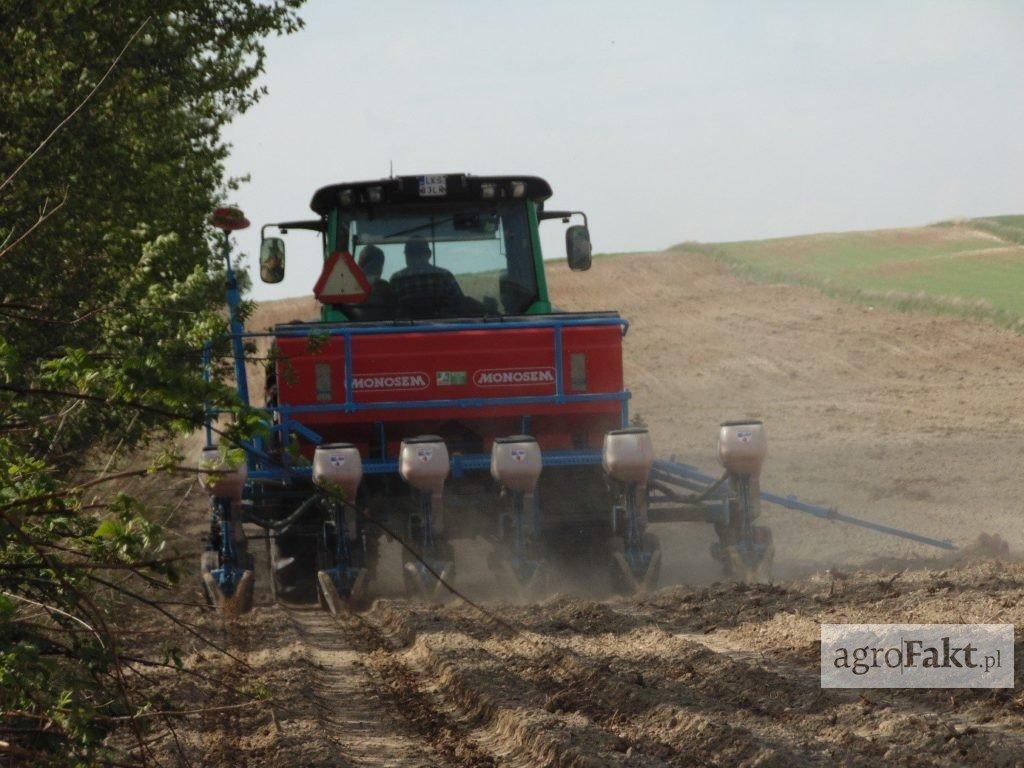 https://www. Zasiew kukurydzy jest bardziej zagrożony, jeśli pole usytuowane jest blisko lasu. Ptaki, występujące licznie w stadzie, są w stanie w krótkim okresie czasu zniszczyć cały obszar zasiewu.