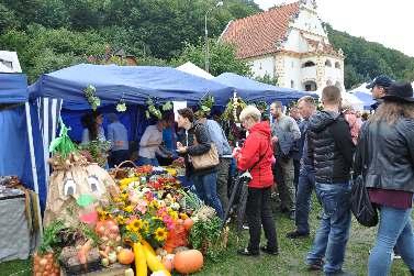 Imprezy cykliczne Zapraszamy do udzia³u w zajêciach edukacyjnych organizowanych podczas cyklicznych imprez odbywaj¹cych siê w Oddziale Przyrodniczym: Dzieñ Ziemi oko³o 22 kwietnia Akcja na rzecz