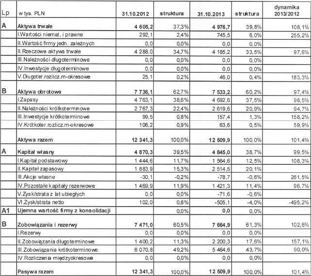 Badanie skonsolidowanego sprawozdania finansowego na 31102013r Grupy Kapita³owej ROBINSON EUROPE S A w Bielsku-Bia³ej B ANALIZA SYTUACJI FINANSOWEJ GRUPY KAPITALOWEJ 1 Analiza skonsolidowanego
