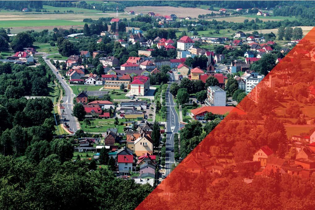 Polanowskie