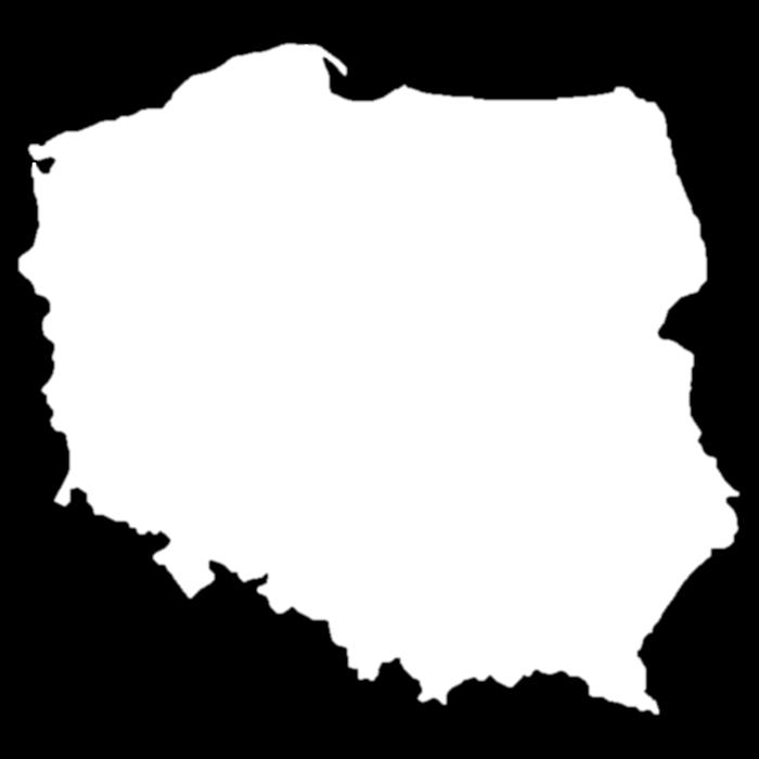 polskich komponentów które zostały stworzone, aby spełniać najwyższe