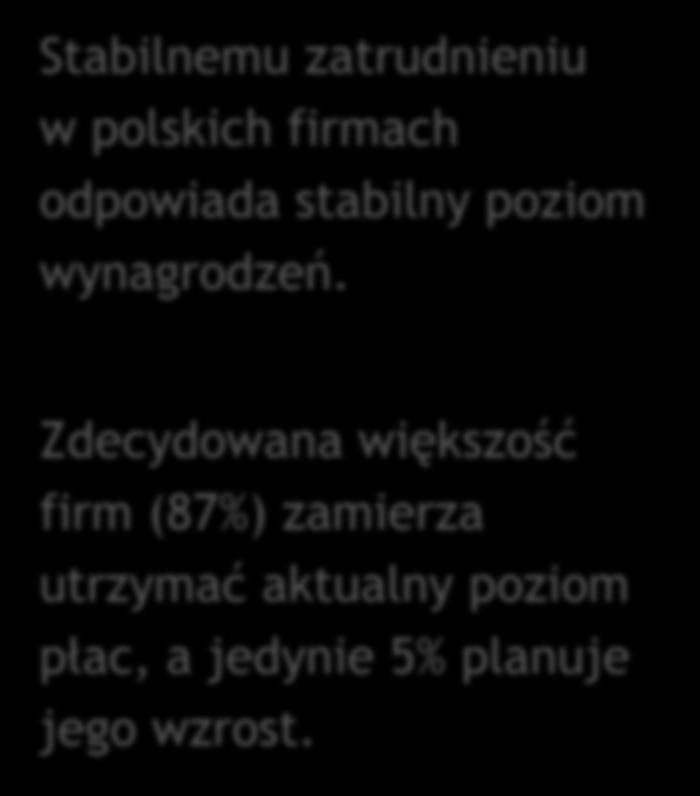 Zdecydowana większość firm (87%)