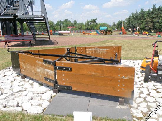 muszli ślimaka idąc w górę
