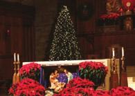 Cards Today On that Starry Night, when Emmanuel was born, Hope entered the world for