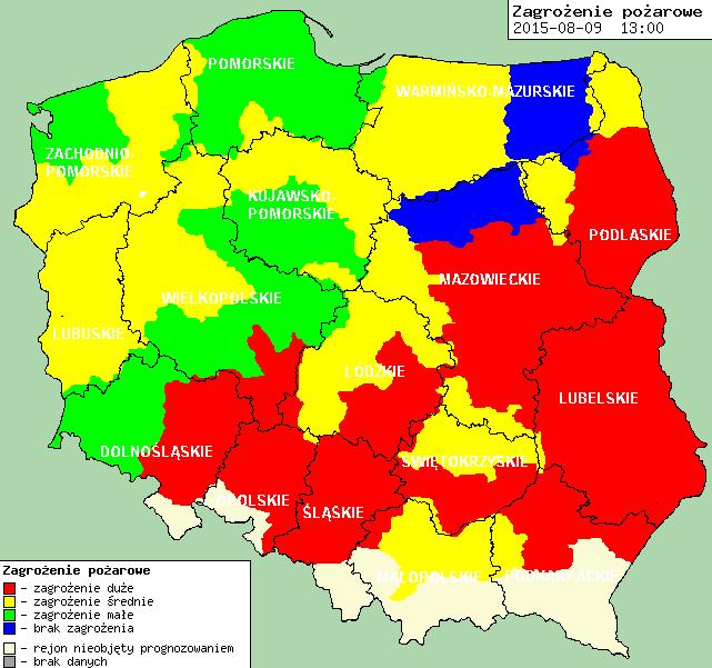 pożarowe lasów
