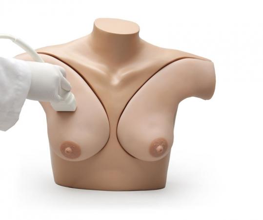 Symulator do badania piersi pod kontrolą USG Nr ref: SM01296 Informacja o produkcie: Fantom do badania piersi pod kontrolą USG Prawa i lewa pierśc zamocowane są do torsu dorosłej kobiety.