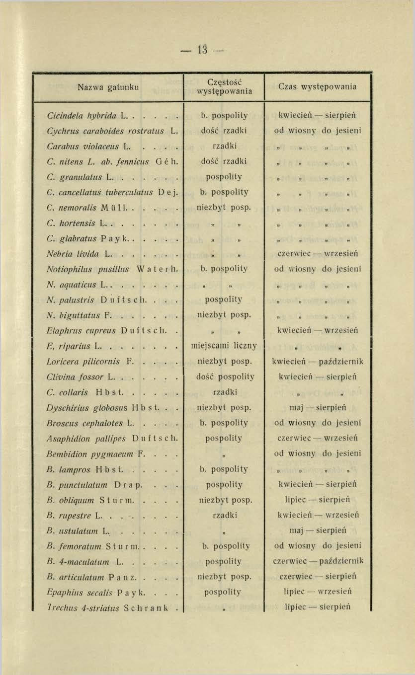 - 13 Nazwa gatunku Częstość występowania Czas występowania Cicindela hybrida I... b. pospolity kwiecień sierpień Cychrus caraboides rostratus L. dość rzadki od wiosny do jesieni Carabus violaceus L.
