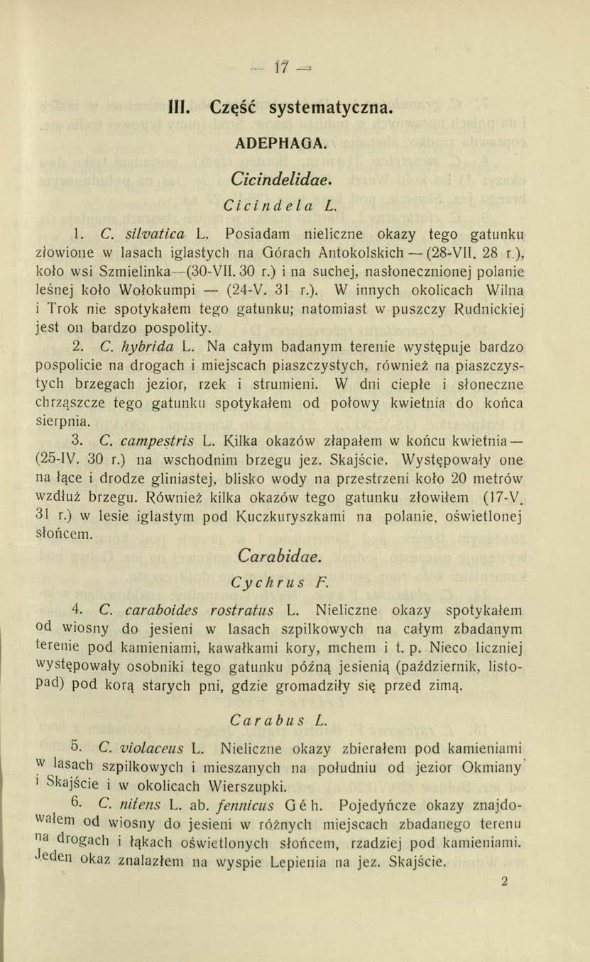 - 17 III. Część systematyczna. ADEPHAGA. Cicindelidae. Cicindela L. 1. C. silvatica L. Posiadam nieliczne okazy tego gatunku złowione w lasach iglastych na Górach Antokolskich (28-V1I. 28 r.