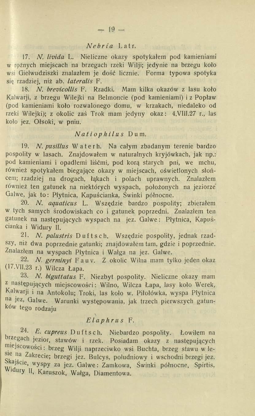 - 19 - Nebria Latr. 17. N. livida L. Nieliczne okazy spotykałem pod kamieniami w rożnych miejscach na brzegach rzeki Wilji; jedynie na brzegu koło wsi Giełwudziszki znalazłem je dość licznie.