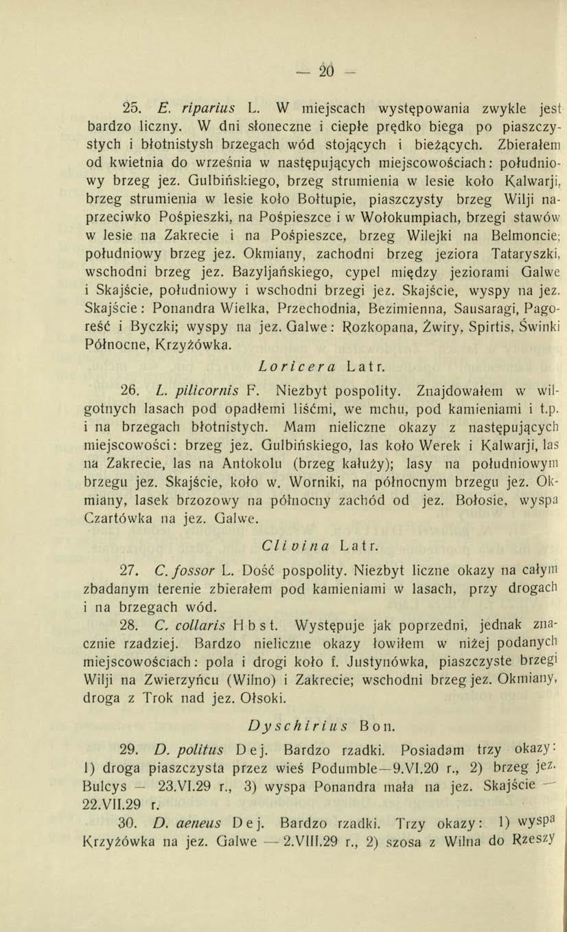 20 25. E. riparius L. W miejscach występowania zwykle jest bardzo liczny. W dni słoneczne i ciepłe prędko biega po piaszczystych i błotnistysh brzegach wód stojących i bieżących.