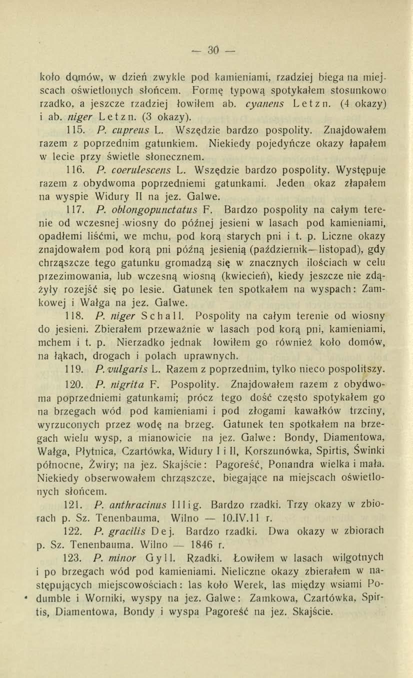 - 30 koło domów, w dzień zwykle pod kamieniami, rzadziej biega na miejscach oświetlonych słońcem. Formę typową spotykałem stosunkowo rzadko, a jeszcze rzadziej łowiłem ab. cyanens Letzn.