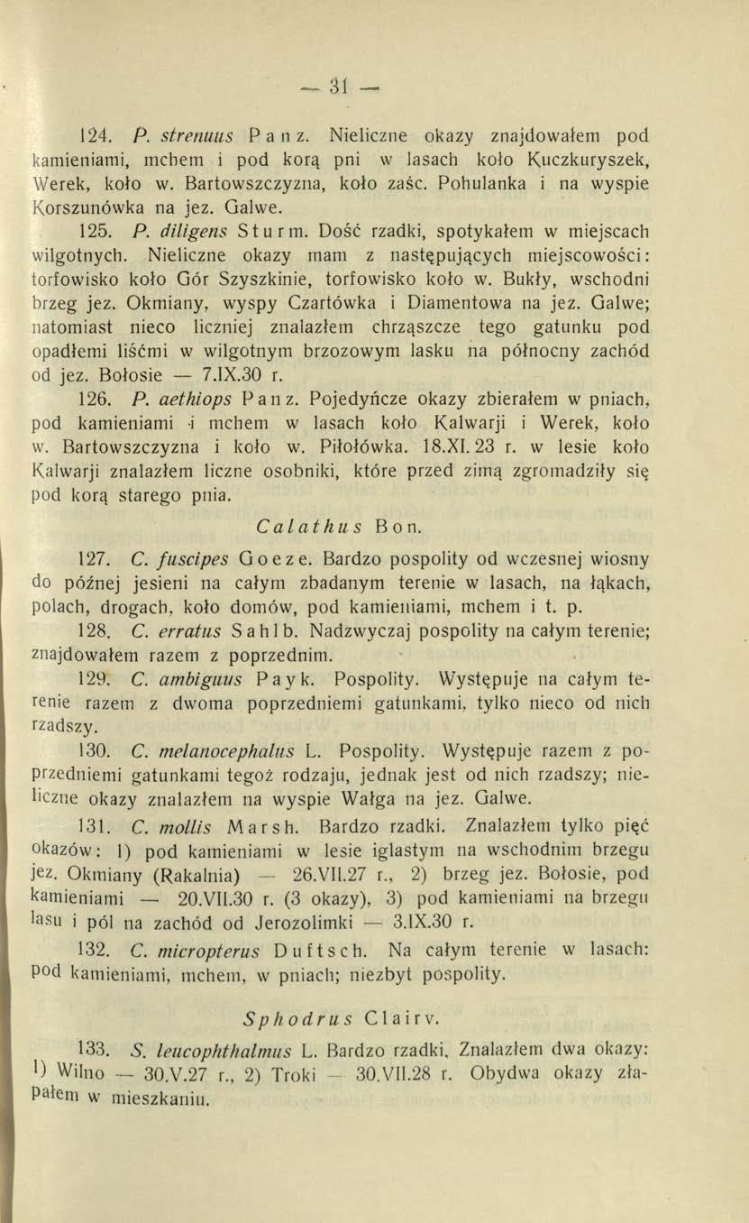 31 124. P. strentius P a n z. Nieliczne okazy znajdowałem pod kamieniami, mchem i pod korą pni w lasach koło Kuczkuryszek, Werek, koło w. Bartowszczyzna, koło zaśc.