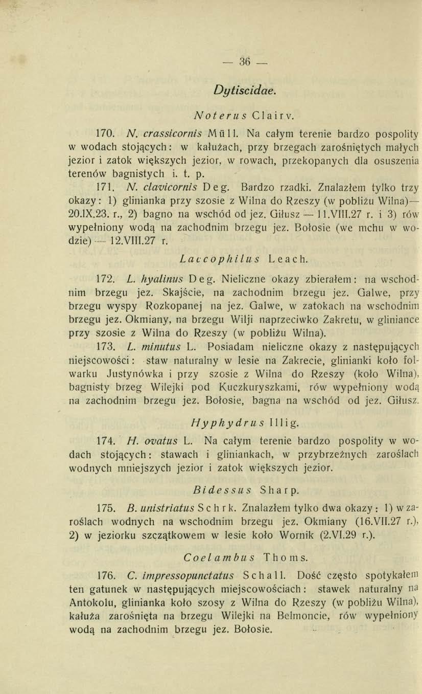36 D ytiscidae. N o t er u s Clair v. 170. N. crassicornis Mii 11.