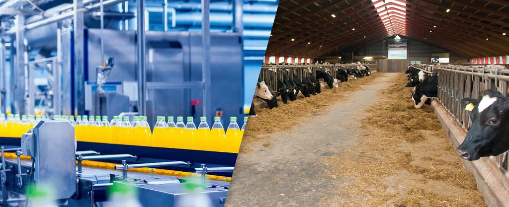 PRZEMYSŁ SPOŻYWCZY I HODOWLA ZWIERZĄT FOOD INDUSTRY AND ANIMAL