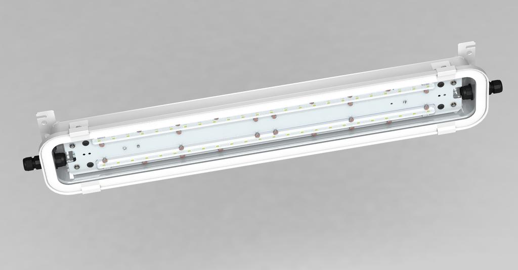 PRZEMYSŁ SPOŻYWCZY I HODOWLA ZWIERZĄT EXL210LED FOOD INDUSTRY AND ANIMAL HUSBANDRY plug 4get +60 C CHEMICALLY RESISTANT NH 3 C4 SAFETY GLASS ENCAPSULATED LED NIRO IP68 IFS STANDARD SYSTEM STEROWANIA