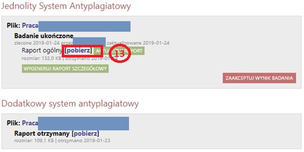 Uwaga: Raport ten może nie być dostępny natychmiastowo, często pojawia się dopiero po pewnym czasie od wysłania zgłoszenia sprawdzenia, w tym czasie wyświetlana jest informacja Oczekuje.