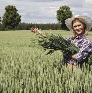 PSZENICA OZIMA MATERIA SIEWNY Wydajność i jakość OPAL A Wszechstronna wydajność Wysoka jakość wypiekowa Na wczesne i późne siewy Hodowca: Syngenta Seeds CECHY ODMIANY Wysokość roślin: Kłoszenie: