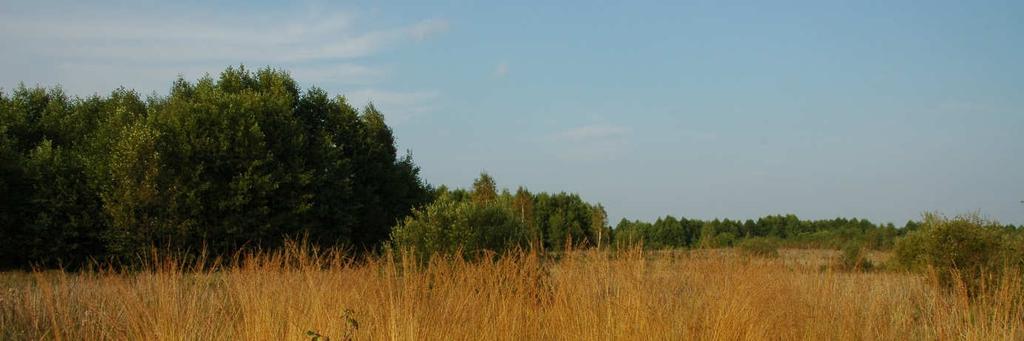 Klub Przyrodników Dokumentacja przyrodnicza torfowisk alkalicznych obiektu Łosiniany wykonano w ramach projektu: LIFE11