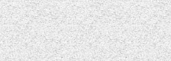 29 3