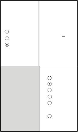 en Display Settings Page 1 Page 10 Level of brightness Minimum Medium Maximum Field of display1 Field of display2 Field of display8 Time Time to to min. n. brightness min.