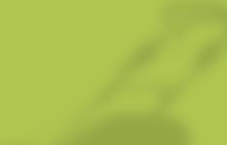 1,50 m, lewa/prawa - 2599 zł SYSTEM OGRODZENIOWY AMELIA ocynk + ral 9005 - brama dwuskrzydłowa 4,00 m, wys.