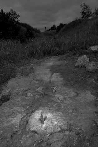 76 Michalina Ścibisz-Kosanowska, Maja Kowalska, Piotr Szrek W niedalekiej przyszłości sukces turystyczny może odnieść także Geopark Kamienny Las na Roztoczu (fot. 4).