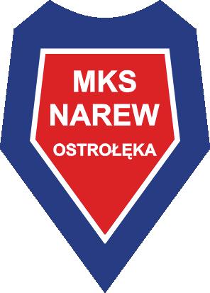 IV LIGA MKS NAREW OSTROŁĘKA Damian Dąbrowski ur. 20.10.1993 w Ostrołęce Doświadczenie: Absolwent AWF w Białej Podlaskiej. Trener przygotowania fizycznego w Pekpolu Ostrołęka.