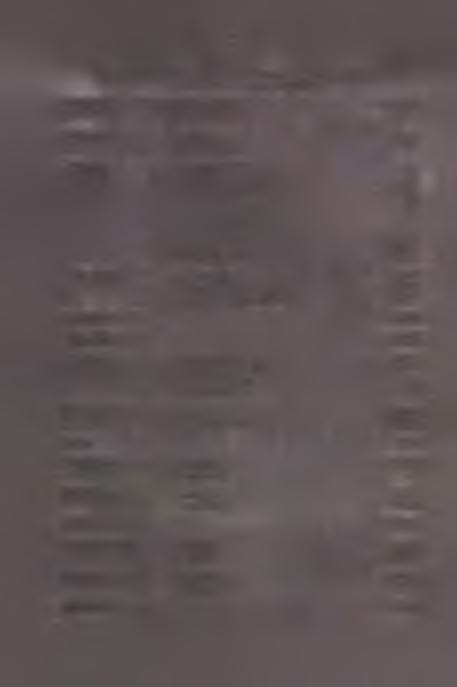 wiórowe 31 łuszcznie 7 Wióry całe 339 fragmenty 870 Drapacze wiórowe A 97 Al 5 B 12 Cl 10 C2 2 D