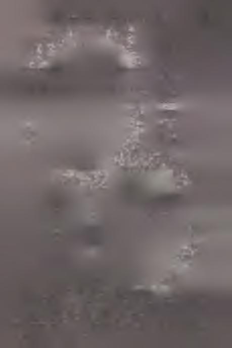 A B, C D linie cięć profilow ych. 1 5 - zob. opis w arstw w tekście (p.