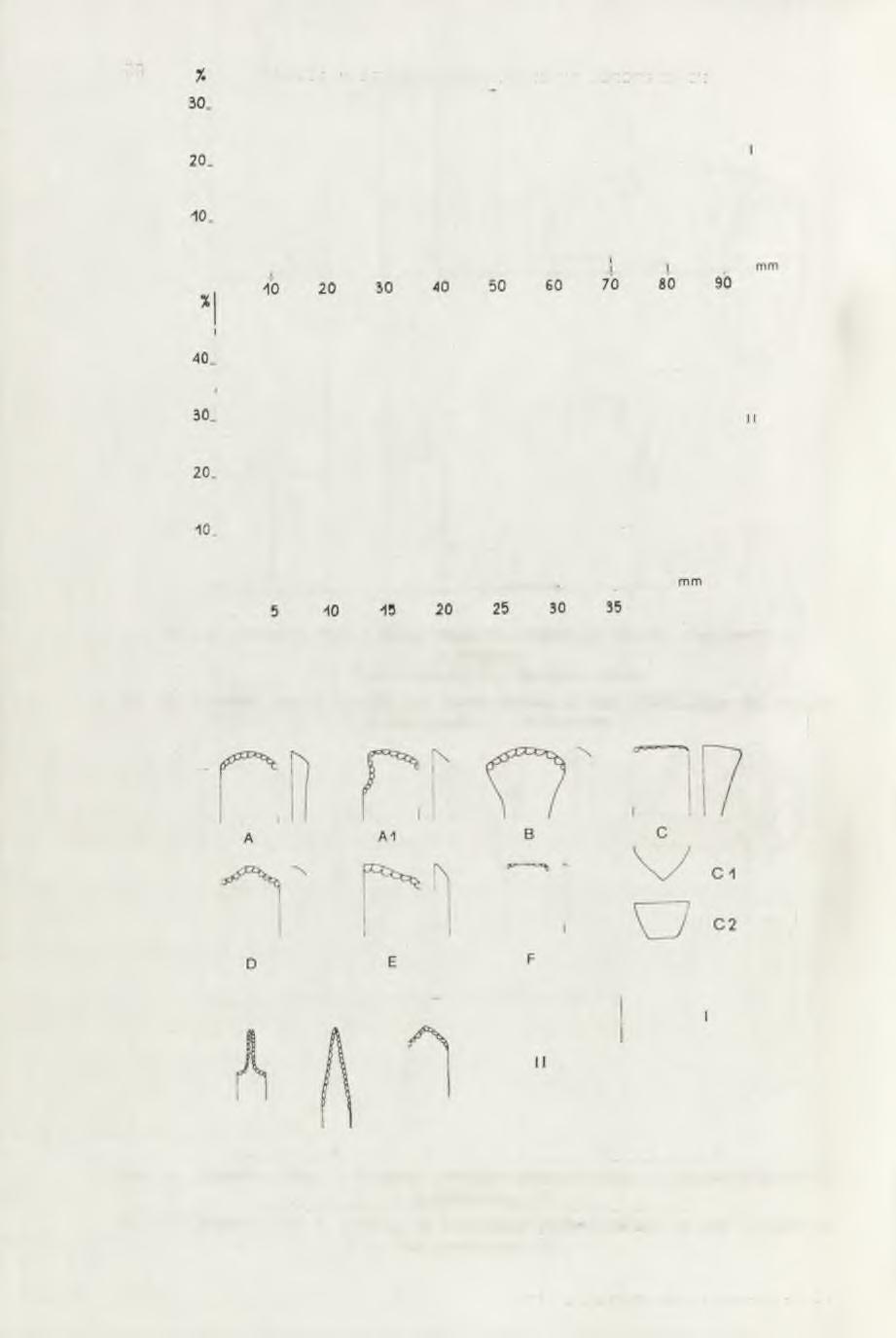 Ryc. 33. Ćmielów, stan. 2.