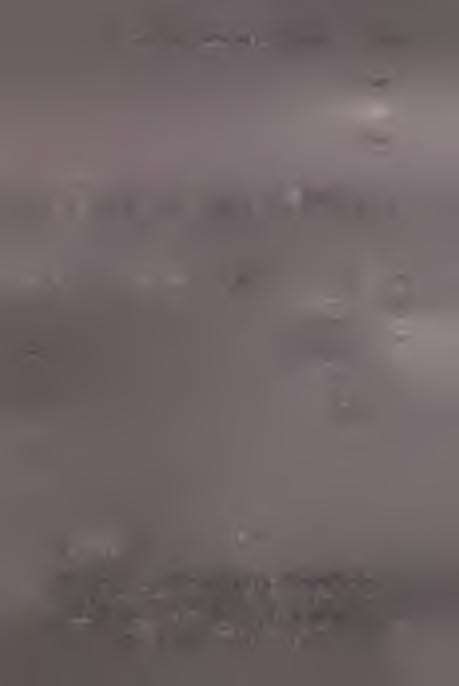 przepalone kości; g grudki polepy; h kam ienie; i okruchy w ęgla drzew nego Fig. 4. Ćmielów, site 2.