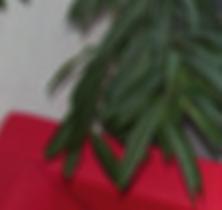 S PR ZEDA Ż WYŁĄCZNIE DO