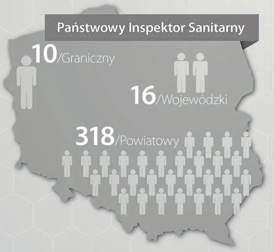 126 Magdalena Wardzyńska mianował inspektorów szczebli niższych. Główną misją inspekcji została realizacja zadań z zakresu zdrowia publicznego.