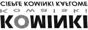 Policjanci próbowali dowiedzieæ siê od mê czyzny co siê sta³o, ten jednak tego dnia nie by³ w stanie odpowiadaæ na szczegó³owe pytania.